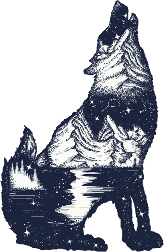 (s006-6-D) Double Exposure Bear