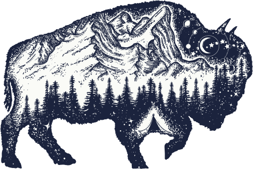 (s006-6-E) Double Exposure Buffalo