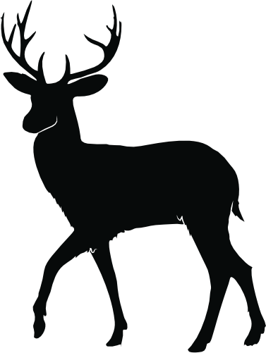(s063-2-1F) Deer Buck Silhouette