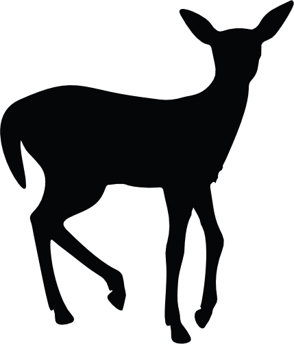 (s063-2-1I) Deer Doe Silhouette
