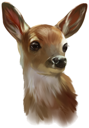 (s063-6-1C) Deer Doe