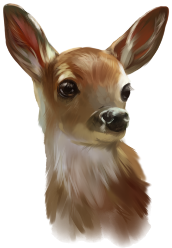 (s063-6-1C) Deer Doe