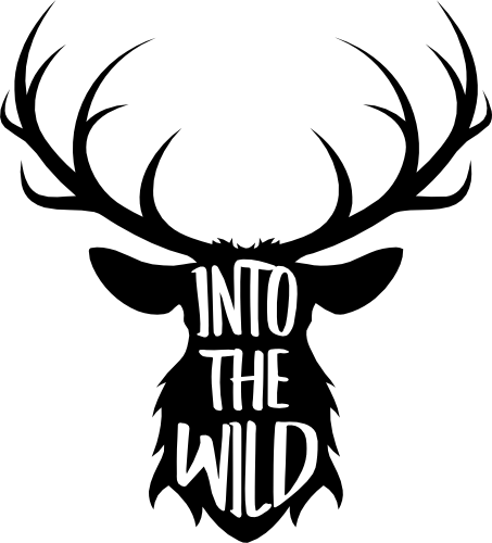 (s063-10G) Into the Wild Deer Buck Head