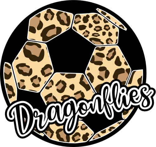 (067-07-1L) Dragonflies Leopard Soccer Ball Iron-On Transfer