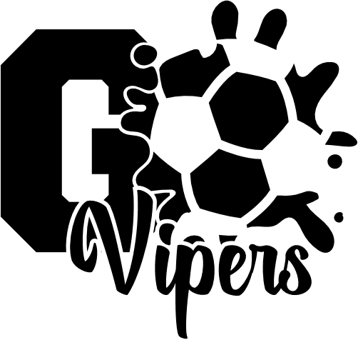 (067-07-1N) Go Vipers Soccer Iron-On Transfer