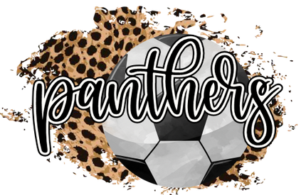 (067-07-1R) Panthers Soccer Leopard Iron-On Transfer