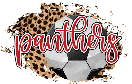 (067-07-1R) Panthers Soccer Leopard Iron-On Transfer