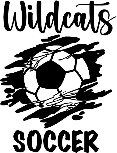 (s067-8D) Soccer Team Name Family Custom Text