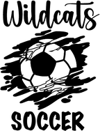 (s067-8D) Soccer Team Name Family Custom Text