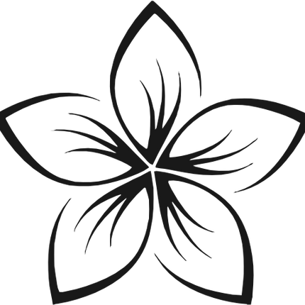 (068-C) Hawaiian Plumeria Flower
