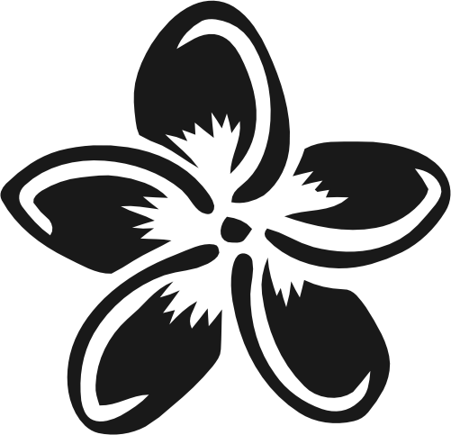 (068-D) Hawaiian Plumeria Flowers