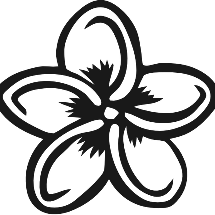 (068-E) Hawaiian Plumeria Flowers