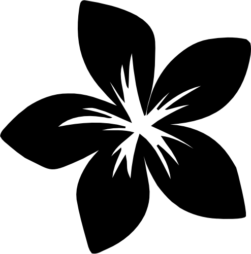 (068-F) Hawaiian Plumeria Flowers