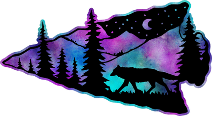 (s006-2-3) Arrowhead Wolf Green Purple Aurora Borealis Northern Lights