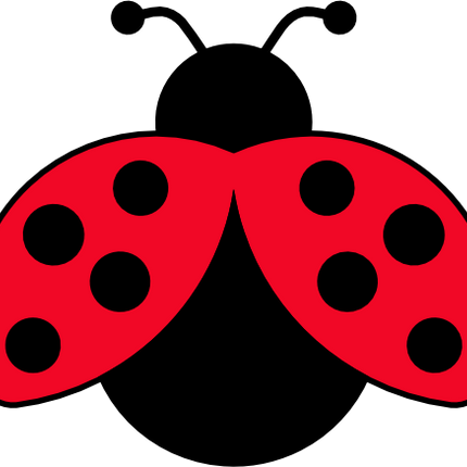 (s007-2A) Ladybug