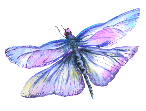 (s007-3B) Dragonfly