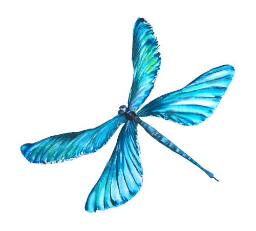(s007-3C) Dragonfly