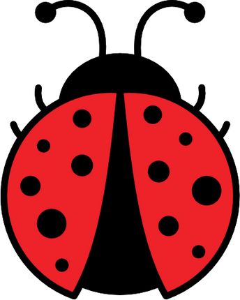 (s007-2D) Ladybug