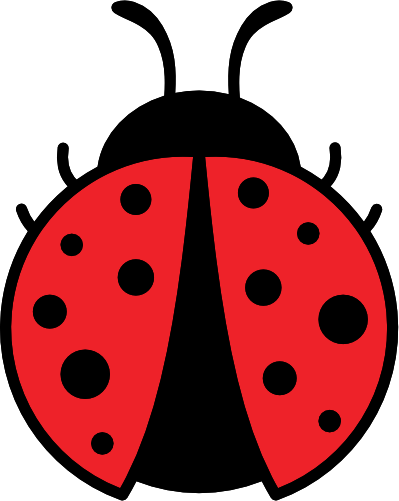 (s007-2E) Ladybug