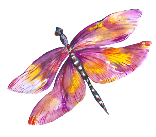 (s007-3E) Dragonfly