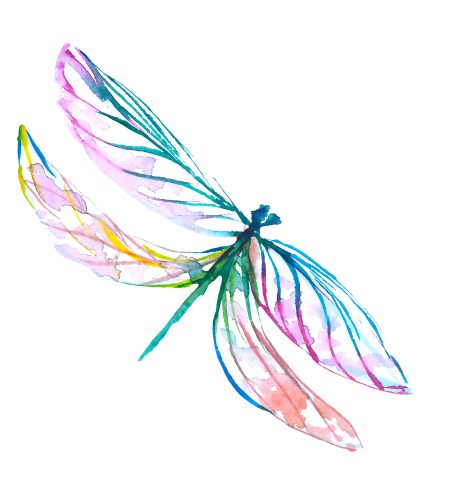 (s007-3G) Dragonfly