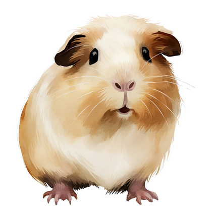 (070-03-2H) Guinea Pig Iron-On Transfer