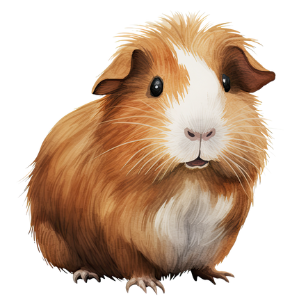 (070-03-3F) Guinea Pig Iron-On Transfer