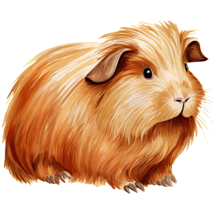 (070-03-3G) Guinea Pig Iron-On Transfer