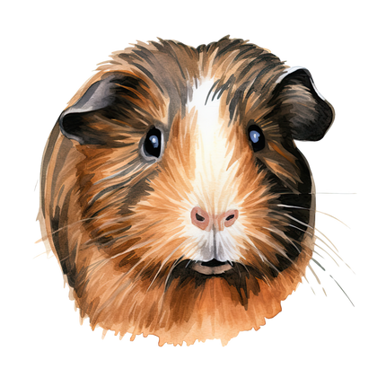 (070-03-3M) Guinea Pig Iron-On Transfer