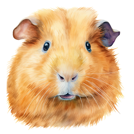 (070-03-3U) Guinea Pig Iron-On Transfer