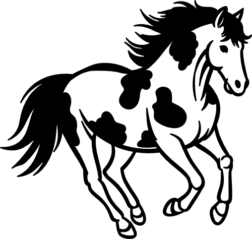 (s1-01-70-03) Paint Pinto Horse Iron-On Transfer