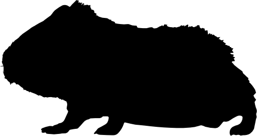 (s070-B) Guinea Pig Silhouette