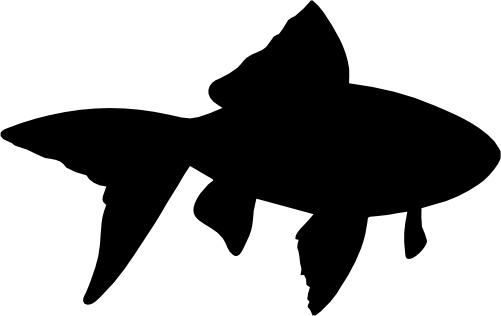 (s070-E) Goldfish Silhouette