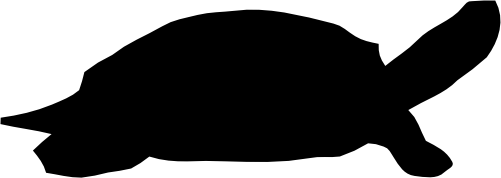 (s070-H) Turtle Silhouette