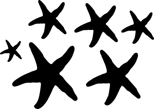 (071-C) Starfish Set Assorted or Same Sizes