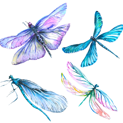 (s007-G2) Set of 4 Watercolor Dragonflies