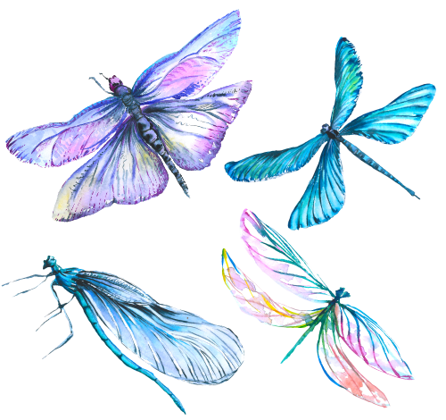 (s007-G2) Set of 4 Watercolor Dragonflies