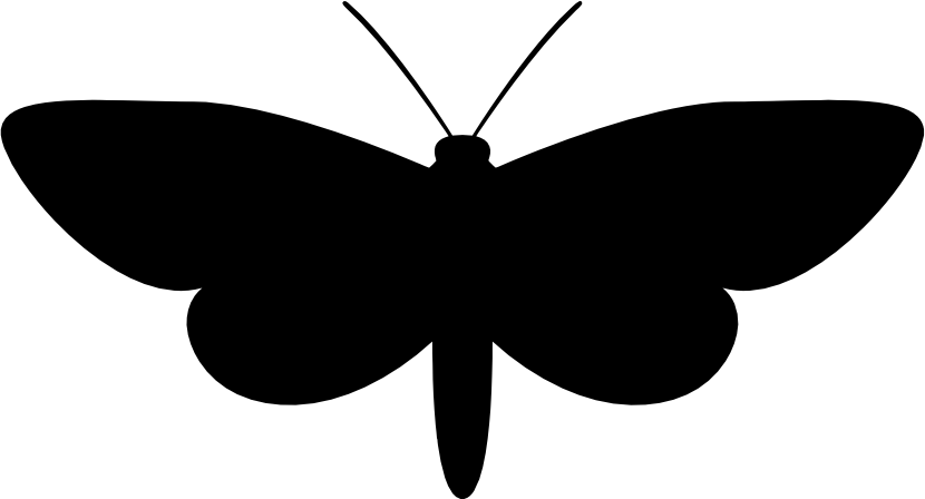 (s007-1-F) Moth Silhouette