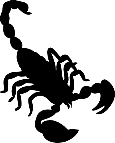 (s007-1-K) Scorpion Silhouette