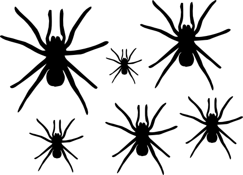 (s007-A) Spider Set Assorted or Same Sizes