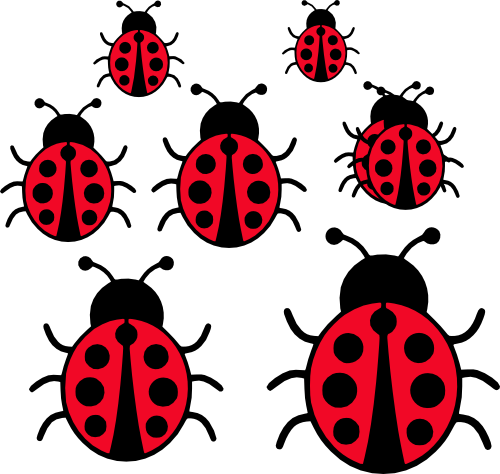 (s007-T) Ladybug Set Same or Assorted Sizes