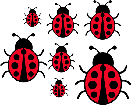 (s007-T) Ladybug Set Same or Assorted Sizes