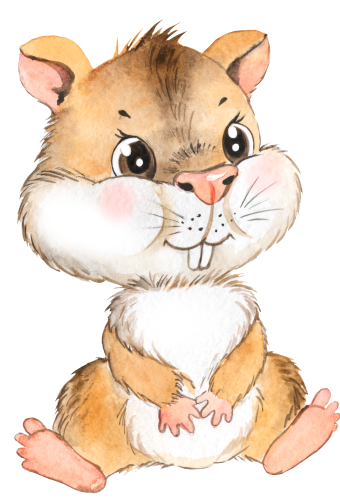 (s083-1-D) Hamster