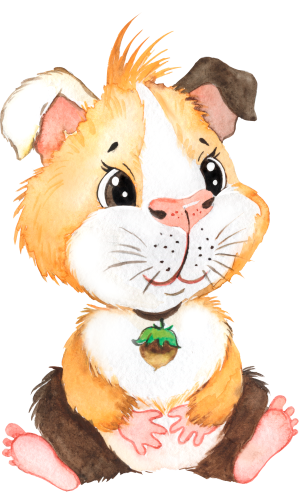 (s083-1-E) Guinea Pig