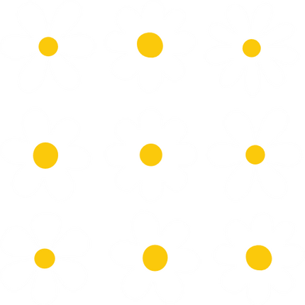 (089-S4) White Daisy Flowers Set Same Size