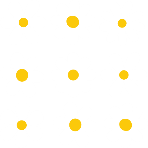 (089-S4) White Daisy Flowers Set