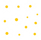 (089-S4) White Daisy Flowers Set