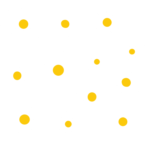 (089-S5) White Daisy Flowers Set Assorted Sizes