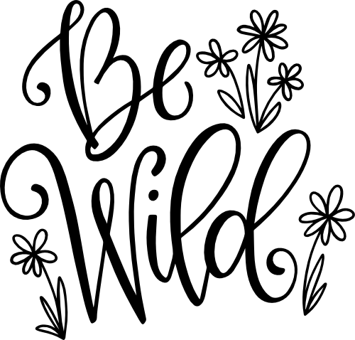 (089-C) Be Wild Daisies Daisy Wildflowers