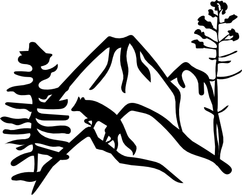 (090-03-O) Wild Mountain Fox